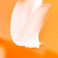 What are some examples of Valuxxo's sustainable practices?